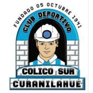 COLICO SUR
